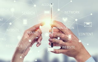 价格战迷雾 选择软件开发公司时，服务能力应否让位于低价？