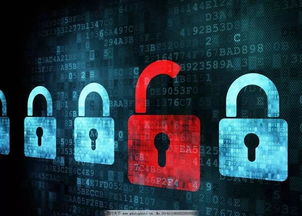 数智融合新生态 网络安全筑基，智慧养老拓界，产业集聚赋能